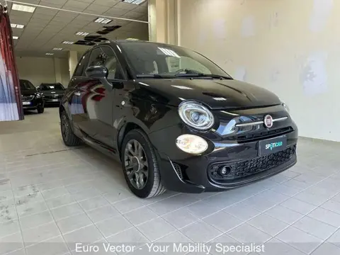 Annonce FIAT 500 Hybride 2021 d'occasion 