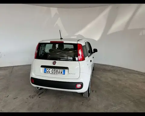 Used FIAT PANDA Hybrid 2021 Ad 