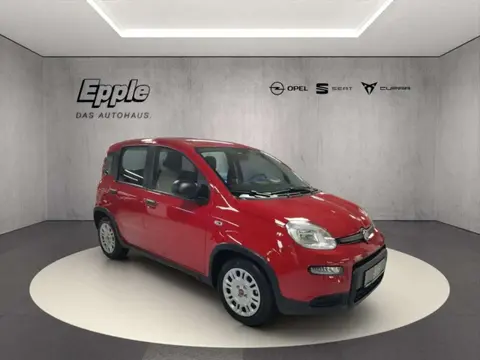 Used FIAT PANDA Petrol 2024 Ad 