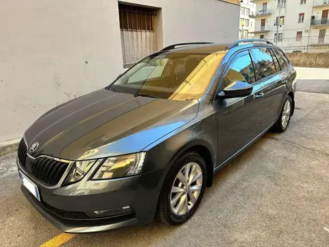 Annonce SKODA OCTAVIA Diesel 2019 d'occasion 