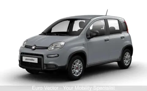 Used FIAT PANDA Hybrid 2022 Ad 