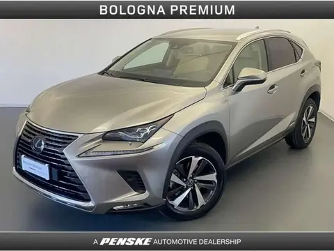 Used LEXUS NX Hybrid 2019 Ad 