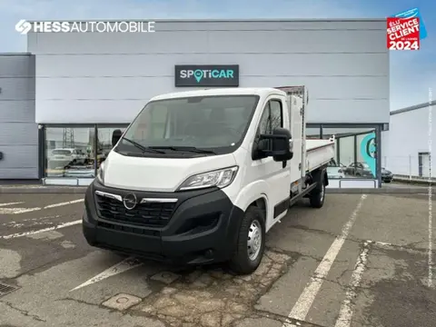 Annonce OPEL MOVANO Diesel 2024 d'occasion 