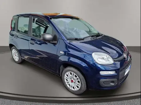 Annonce FIAT PANDA Essence 2017 d'occasion 