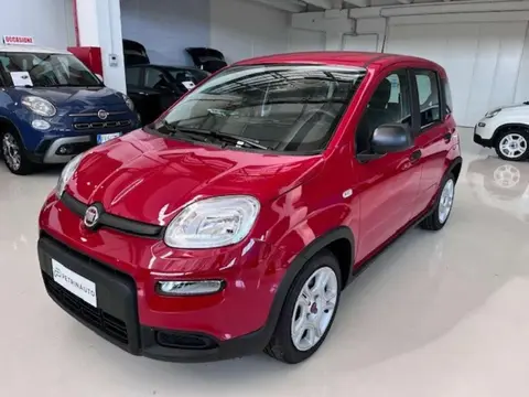 Annonce FIAT PANDA Hybride 2024 d'occasion 