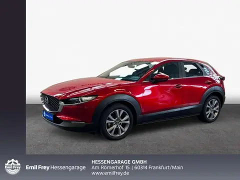 Annonce MAZDA CX-30 Essence 2020 d'occasion 