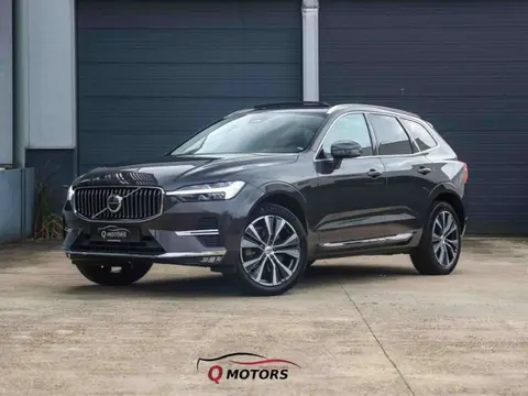 Used VOLVO XC60 Diesel 2021 Ad 