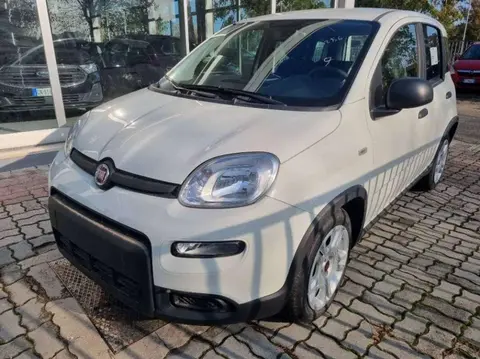 Annonce FIAT PANDA Hybride 2024 d'occasion 