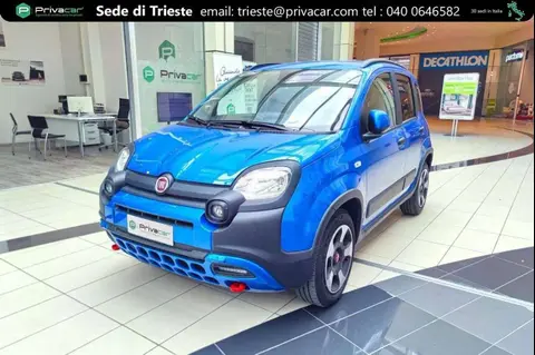 Used FIAT PANDA Hybrid 2023 Ad 