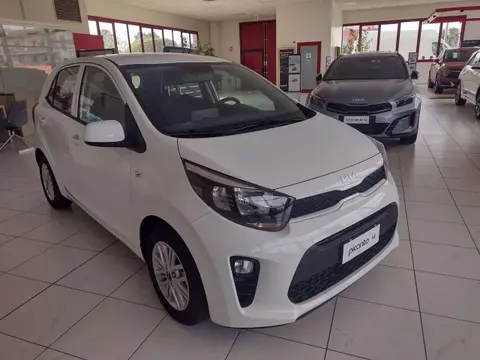 Annonce KIA PICANTO GPL 2024 d'occasion 