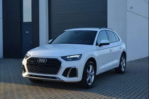 Used AUDI Q5 Hybrid 2021 Ad 