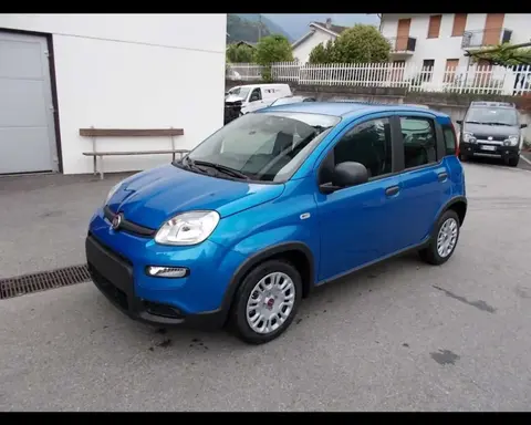 Annonce FIAT PANDA Hybride 2024 d'occasion 