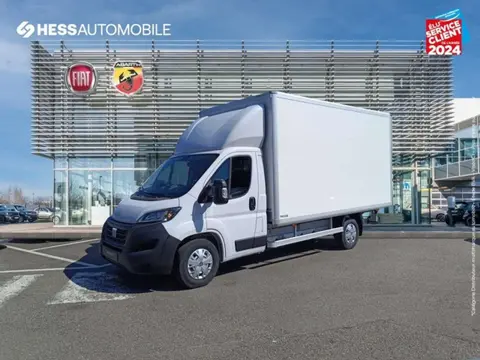 Annonce FIAT DUCATO Électrique 2023 d'occasion 