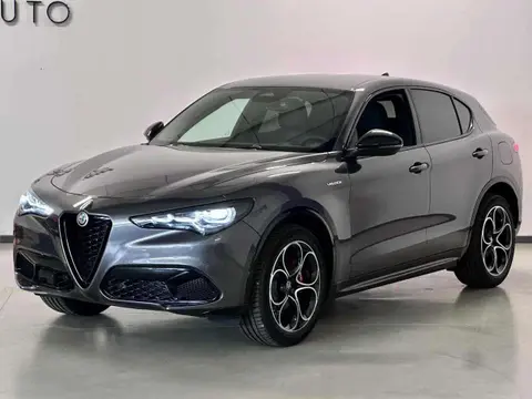 Used ALFA ROMEO STELVIO Diesel 2024 Ad 