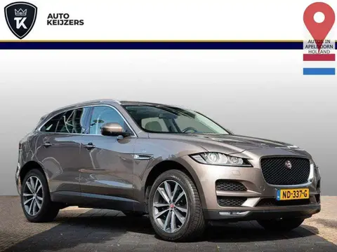 Used JAGUAR F-PACE Diesel 2017 Ad 