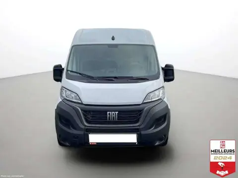 Used FIAT DUCATO Diesel 2023 Ad 