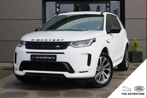 Used LAND ROVER DISCOVERY Hybrid 2021 Ad 