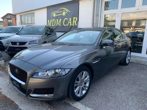 Annonce JAGUAR XF Diesel 2019 d'occasion 