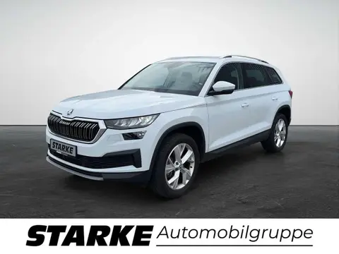 Used SKODA KODIAQ Diesel 2023 Ad 