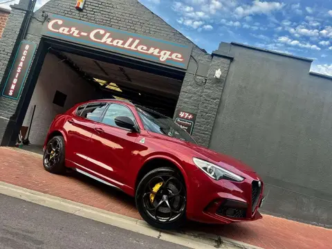 Annonce ALFA ROMEO STELVIO Essence 2019 d'occasion 