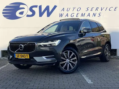 Used VOLVO XC60 Hybrid 2018 Ad 