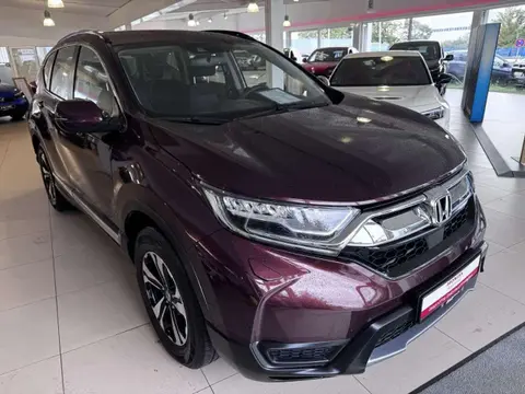 Used HONDA CR-V Petrol 2019 Ad 