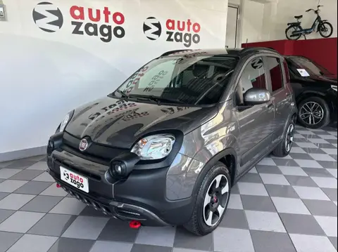 Annonce FIAT PANDA Hybride 2023 d'occasion 