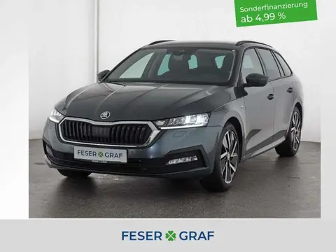 Used SKODA OCTAVIA Petrol 2021 Ad 