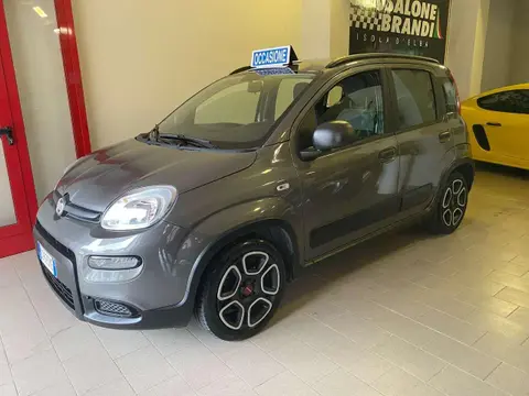 Annonce FIAT PANDA Hybride 2021 d'occasion 