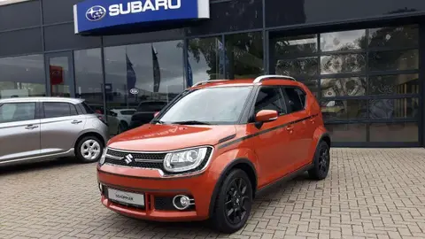 Annonce SUZUKI IGNIS Essence 2019 d'occasion 