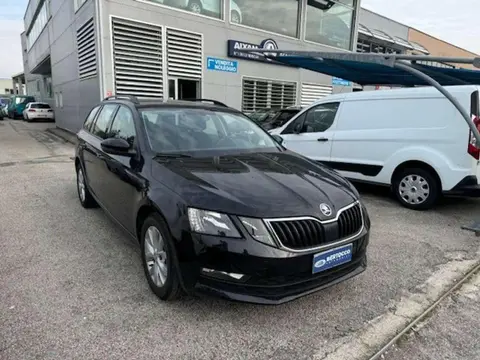 Used SKODA OCTAVIA Diesel 2019 Ad 