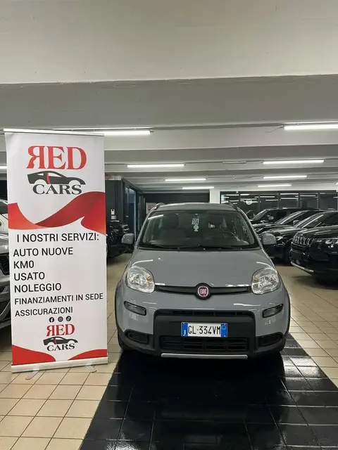 Annonce FIAT PANDA Hybride 2024 d'occasion 