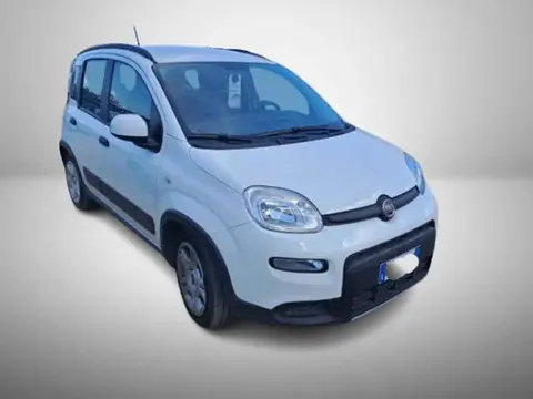 Annonce FIAT PANDA Hybride 2023 d'occasion 