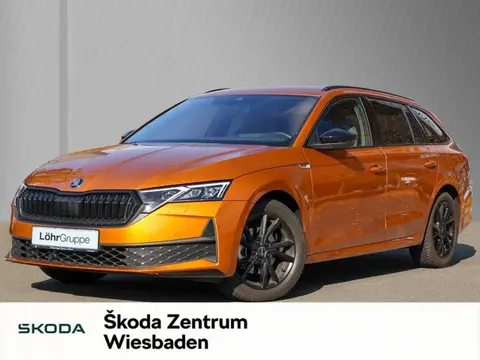 Used SKODA OCTAVIA Petrol 2024 Ad 