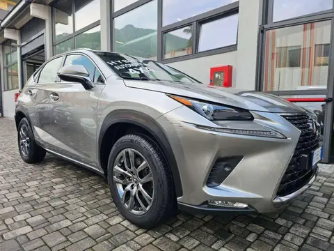 Annonce LEXUS NX Hybride 2021 d'occasion 