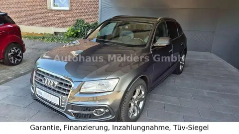 Annonce AUDI SQ5 Diesel 2017 d'occasion 