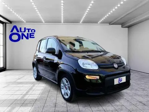 Annonce FIAT PANDA Hybride 2023 d'occasion 