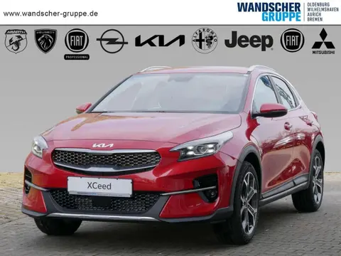 Used KIA XCEED Petrol 2022 Ad 