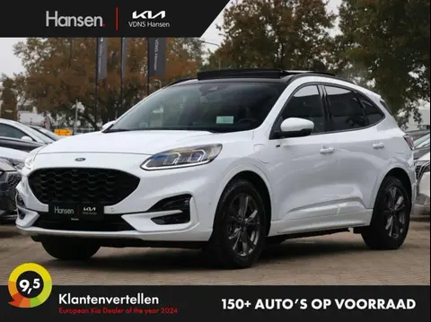 Used FORD KUGA Hybrid 2020 Ad 