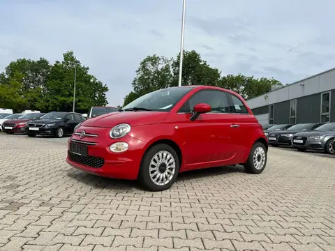 Used FIAT 500 Petrol 2019 Ad 