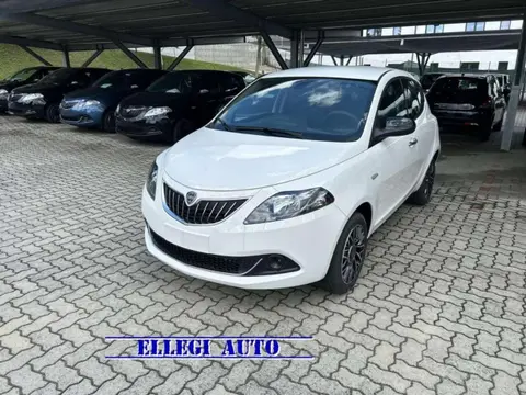 Used LANCIA YPSILON Hybrid 2024 Ad 