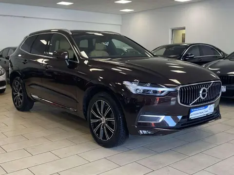 Used VOLVO XC60 Petrol 2019 Ad 