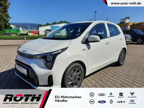 Used KIA PICANTO Petrol 2024 Ad 