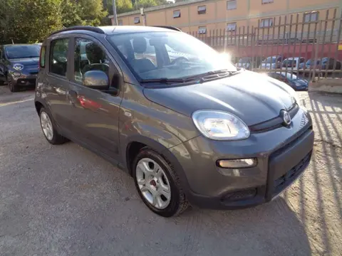 Annonce FIAT PANDA Hybride 2022 d'occasion 