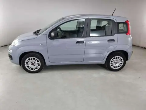 Used FIAT PANDA Petrol 2020 Ad Italy