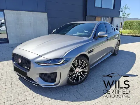 Used JAGUAR XE Petrol 2020 Ad 