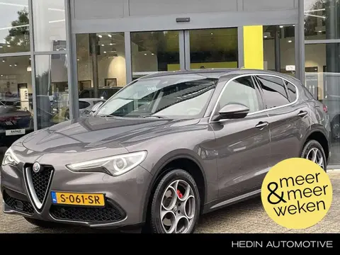 Used ALFA ROMEO STELVIO Petrol 2019 Ad 