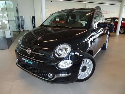 Used FIAT 500 Hybrid 2024 Ad 