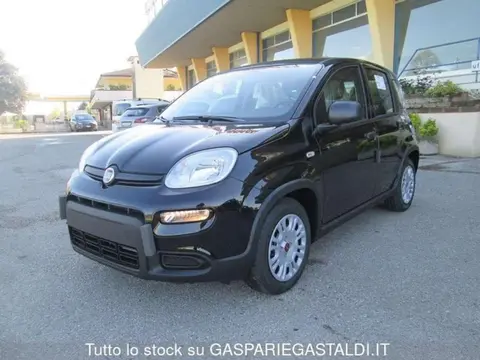 Annonce FIAT PANDA Hybride 2024 d'occasion 