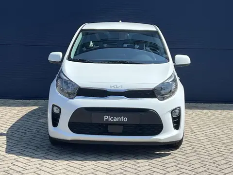 Used KIA PICANTO Petrol 2024 Ad 